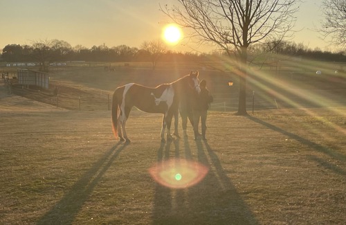 Seneca House | Horses, Big Sky, Tiny Home and Boat and Horse Trailer Parking