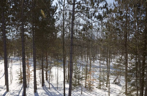 Oro-Medonte House | Horseshoe Resort Chalet
