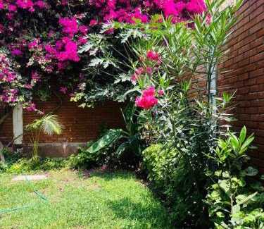 Lurin Bed & Breakfast | Hospedaje Casa de Playa Arica