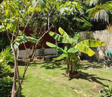 Pium House | Hospedaria Su