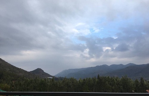 Wellington Apartment | Hospitality Expert TVE: BBQ, Bonfire & Chef