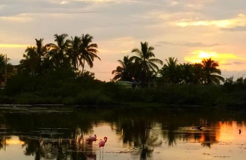 Puerto Villamil House | Hostal Los Flamencos