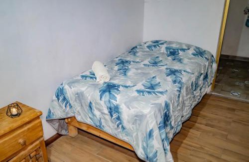 Pachuca House | Hostal Makea Pachuca