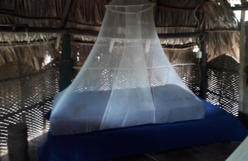 Isla Canas Other | Hostal Mardore beach
