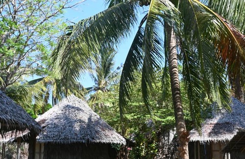 Karimunjawa Islands Hostel | Hostel ∙ 8 guests