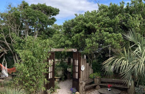 La Paloma Hostel | Hostel ∙ 8 guests