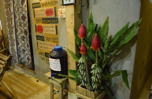 Hau Thao Hostel | Hostel ∙ 8 guests