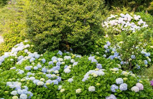 O Grove Hotel | Hotel Alda Vía Norte