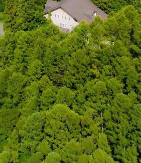 Shinano Hotel | Hotel Bauhinia ホテルバウヒニア