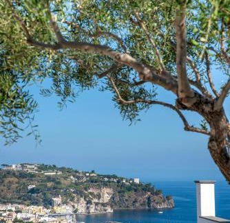 Casamicciola Terme Hotel | Hotel Bel Tramonto