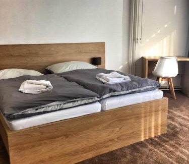 Povazska Bystrica Hotel | Hotel Bothe
