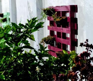 Santa Cruz de Mompox House | Hotel Casa Alicia Mompox