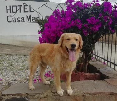 San Mateo Hotel | Hotel Casa Medina