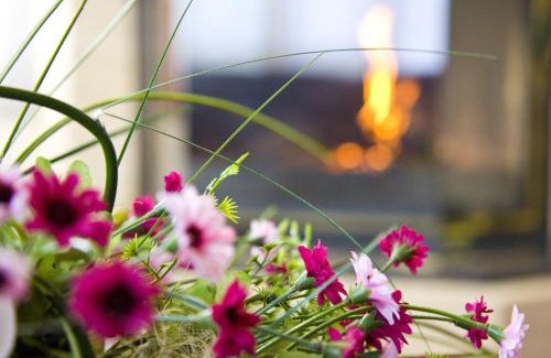 Puigcerda Hotel | Hotel Del Lago