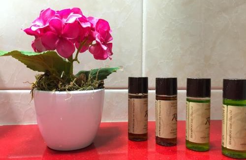 Puigcerda Hotel | Hotel Del Lago