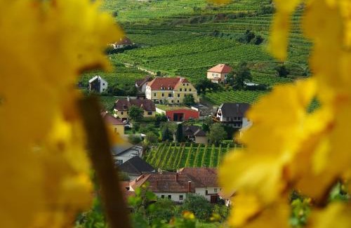 Spitz Hotel | Hotel garni Weinberghof & Weingut Lagler