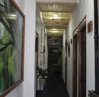Leticia Hotel | Hotel Gavas Amazonas