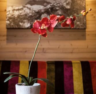 Lech am Arlberg Hotel | Hotel Gotthard