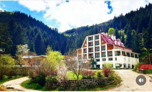 Savsat Hotel | Hotel Green Valley Savsat