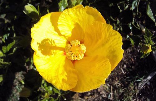 Iza Hotel | Hotel Hacienda El Aserrio