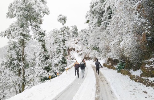 Dhanaulti Hotel | Hotel Himalaya view & restaurant