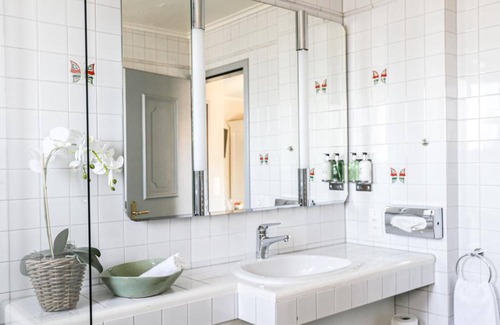 Meilen District Hotel | Hotel Hirschen am See