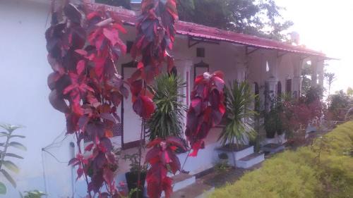 Anjouan Hotel | Hotel Le Sultan