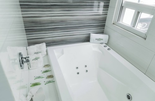 Zona Expo Hotel | Hotel Lemon Green