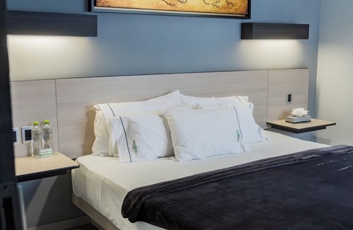 Zona Expo Hotel | Hotel Lemon Green