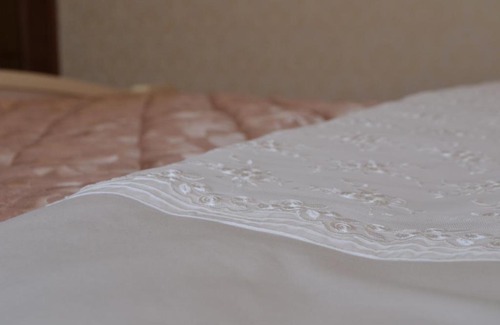 Lyudinovo Hotel | Hotel Lyudinovo