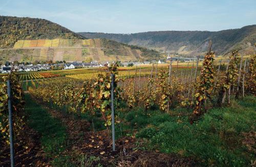 Bruttig-Fankel Hotel | Hotel Merle