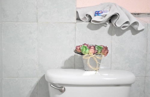 Irapuato Hotel | Hotel Metropolitan I
