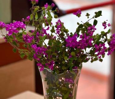 Imperia Hotel | Hotel Miramare