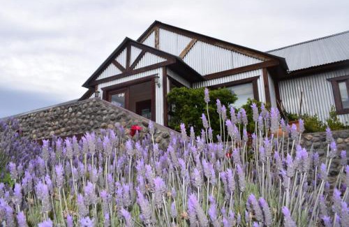 Los Antiguos Hotel | Hotel Mora