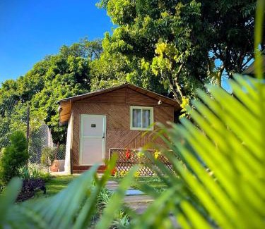 Bigha Hotel | Hotel O Royal Tree Cafe And Resort