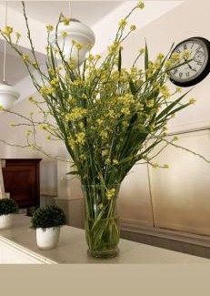 Rosario del Tala Hotel | Hotel Olijnyk