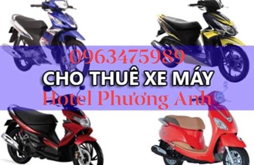 Phu Cat Hotel | Hotel Phương Anh