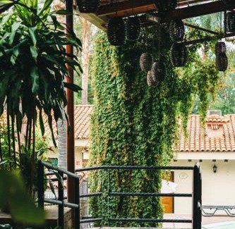 San Pedro Tlaquepaque Hotel | Hotel Posada Virreyes