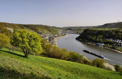 Kamp-Bornhofen Hotel | Hotel Rheinkönig