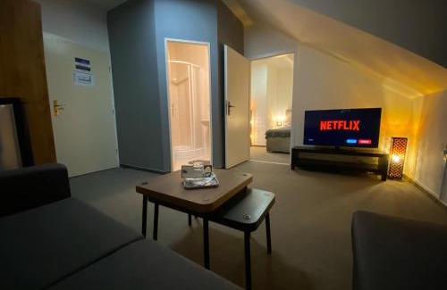 Uhersky Brod Hotel | Hotel & SPA centrum PALMIRA