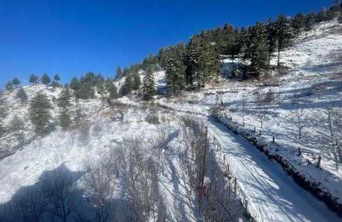 Rohru Hotel | Hotel SSS The Chanshal Retreat