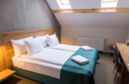 Curtea De Arges Hotel | Hotel Subcarpati