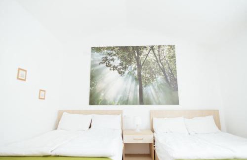 Cavnic Hotel | Hotel Superski
