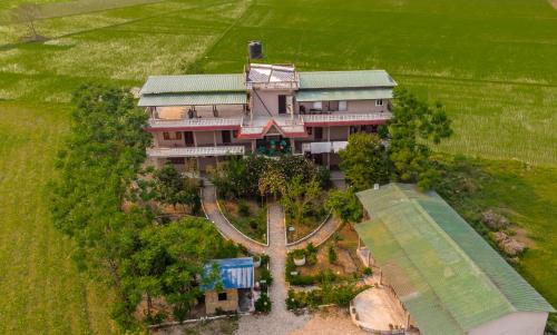 Sauraha Hotel | Hotel Tree Tops