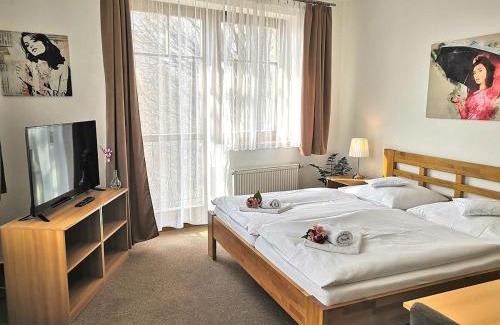 Uhersky Brod Hotel | Hotel U Brány