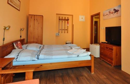 Louny Hotel | Hotel U Radnice
