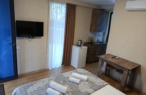 Shekhvetili House | Hotel Umbrella