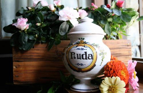 Baqueira Hotel | Hotel Val de Ruda