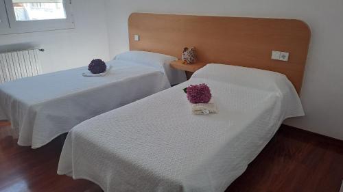 Bandeira Hotel | Hotel Victorino