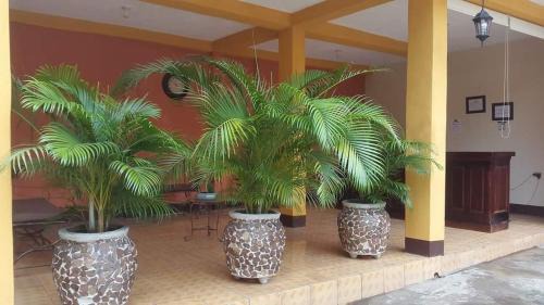 Asuncion Mita Hotel | Hotel y Restaurante Quintaport